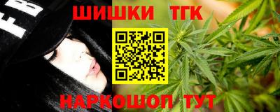 apvp Гатчина