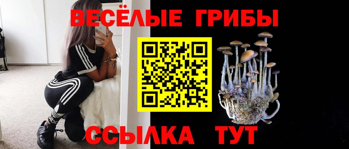 Галлюциногенные грибы прущие грибы  Вход с VPN  Новоуральск  Псилоцибиновые грибы MAGIC MUSHROOMS 